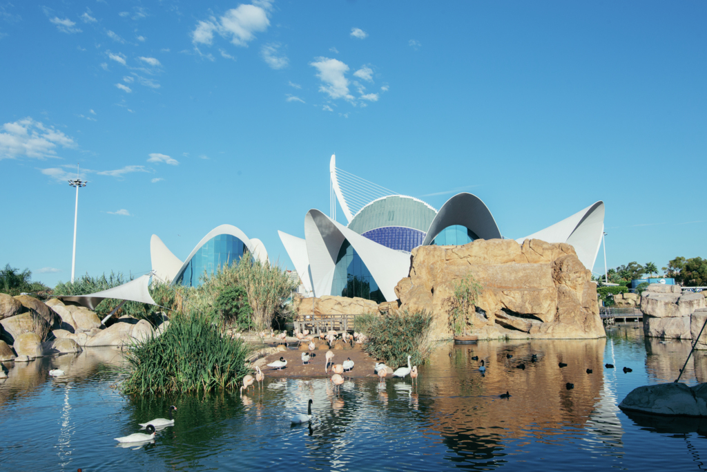 Oceanográfic