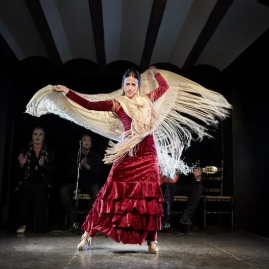 bailaora durante espectáculo en la bulería