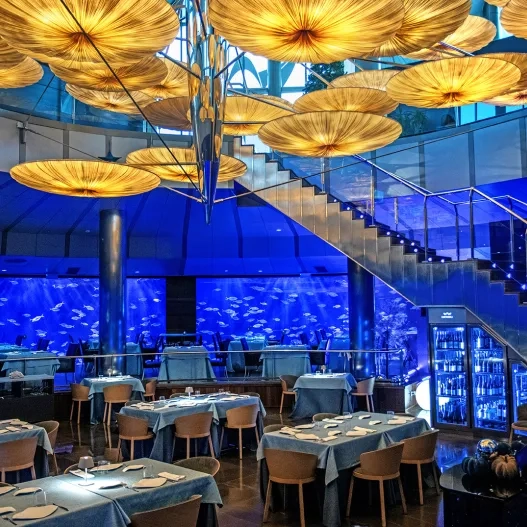 Oceanogràfic