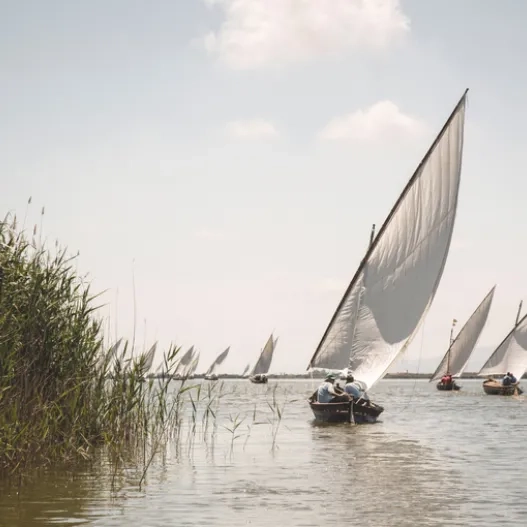 Albufera de Valencia