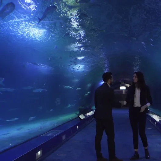 meeting en oceanografic