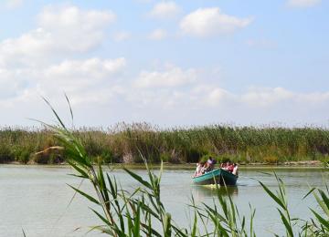 detalle lago albufera