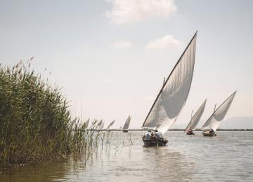 Albufera de Valencia