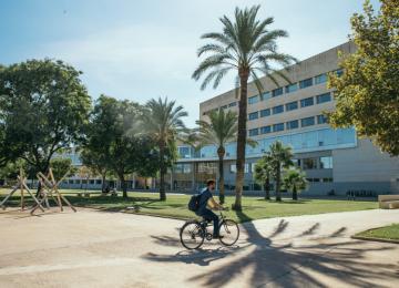 upv