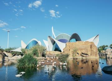 Oceanográfic