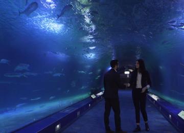 meeting en oceanografic