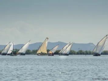 Exhibiciones de vela latina en l’Albufera de València 