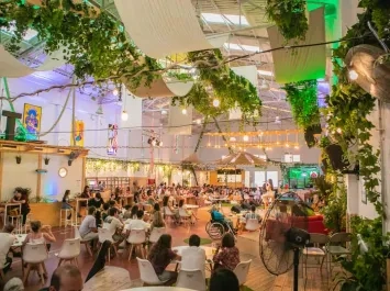 Patacona Fest: el festival sostenible de València 