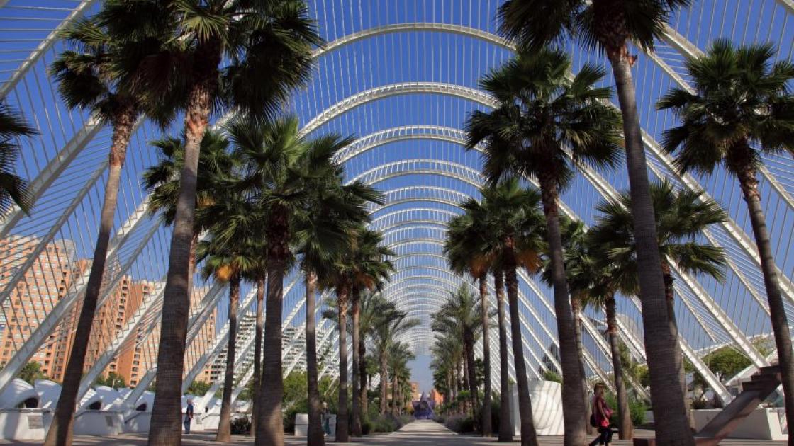 umbracle ciudad de les arts i ciencies