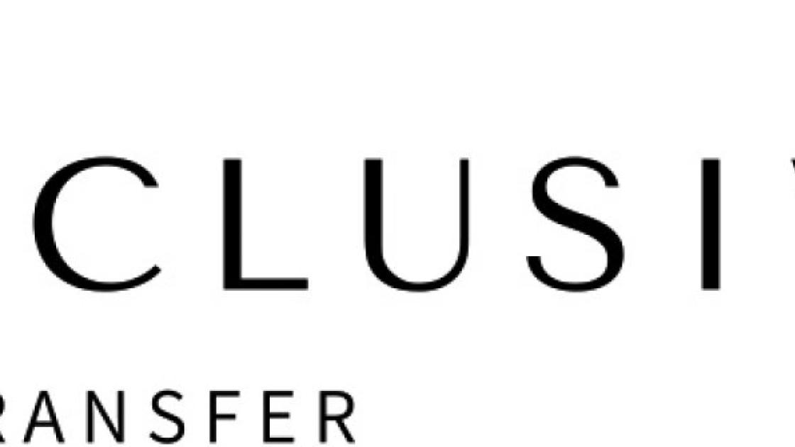 logo empresa exclusive cars