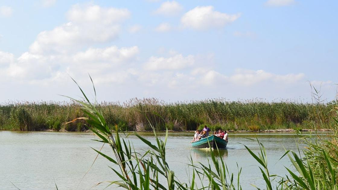 detalle lago albufera