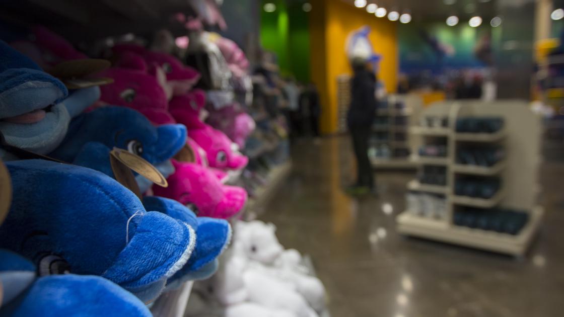 detalle peluches en la tienda del Oceanografic