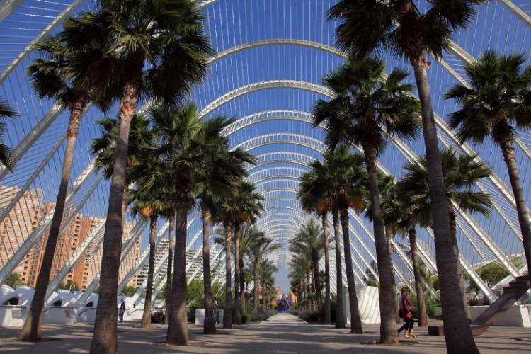 umbracle ciudad de les arts i ciencies