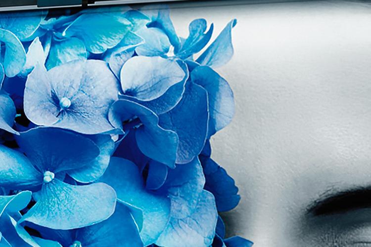 detalle publicidad de digital brand