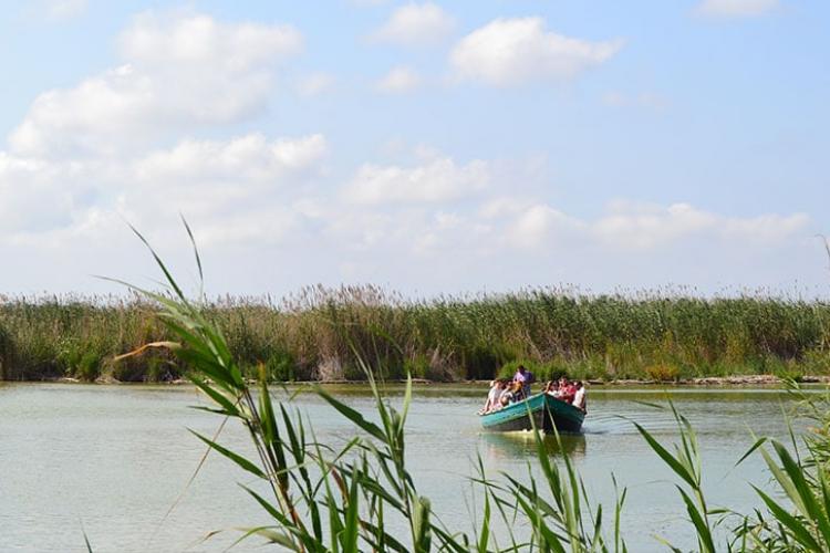 detalle lago albufera