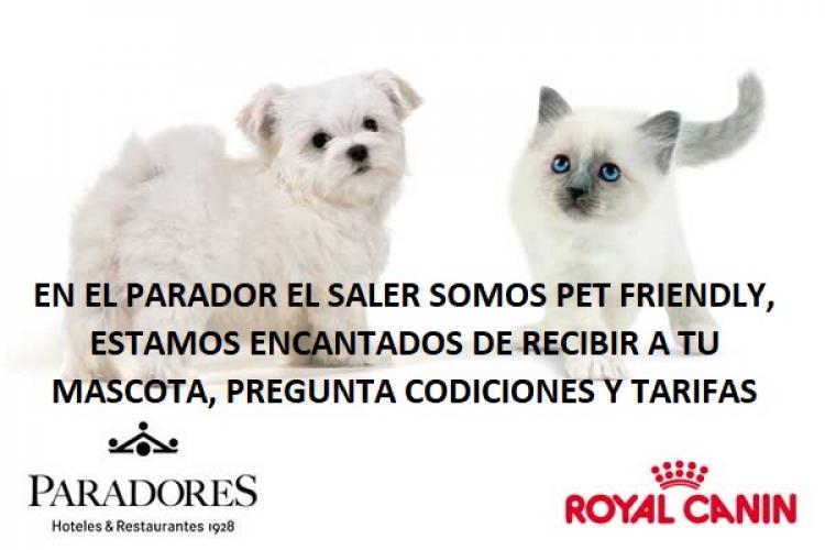 imagen pet friendly con gato y perro de hotel Parador