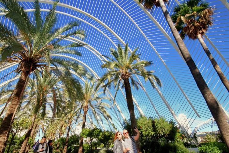 vista de las palmeras dentro de la terraza l'umbracle