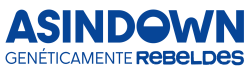 FUNDACIÓN ASINDOWN