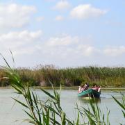 detalle lago albufera