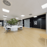 Grupo Idex