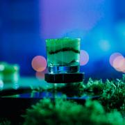 Gourmet Catering & Eventos